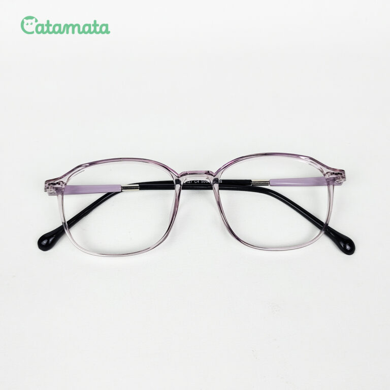 FRAME 1B - 1