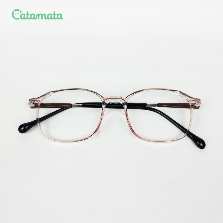 FRAME 1C - 1