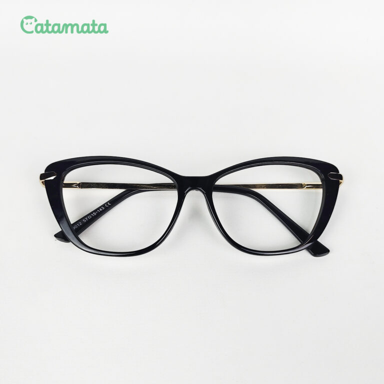 FRAME 3A - 1
