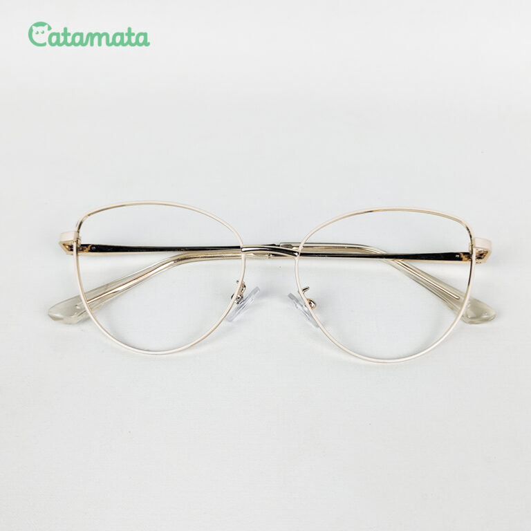 FRAME 4C - 1