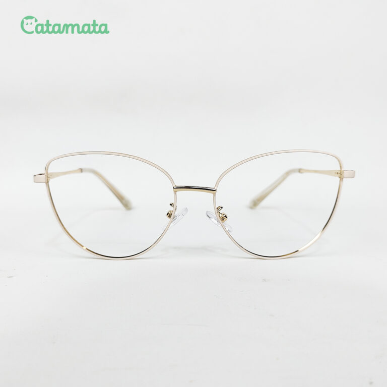 FRAME 4C - 4